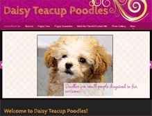 Tablet Screenshot of daisyteacuppoodles.com